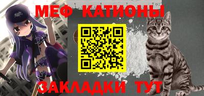 прущие грибы Дубна