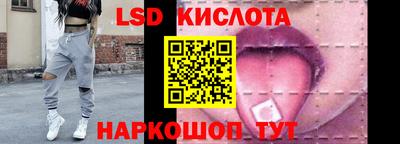 прущие грибы Дубна