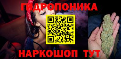 эйфоретик Донской