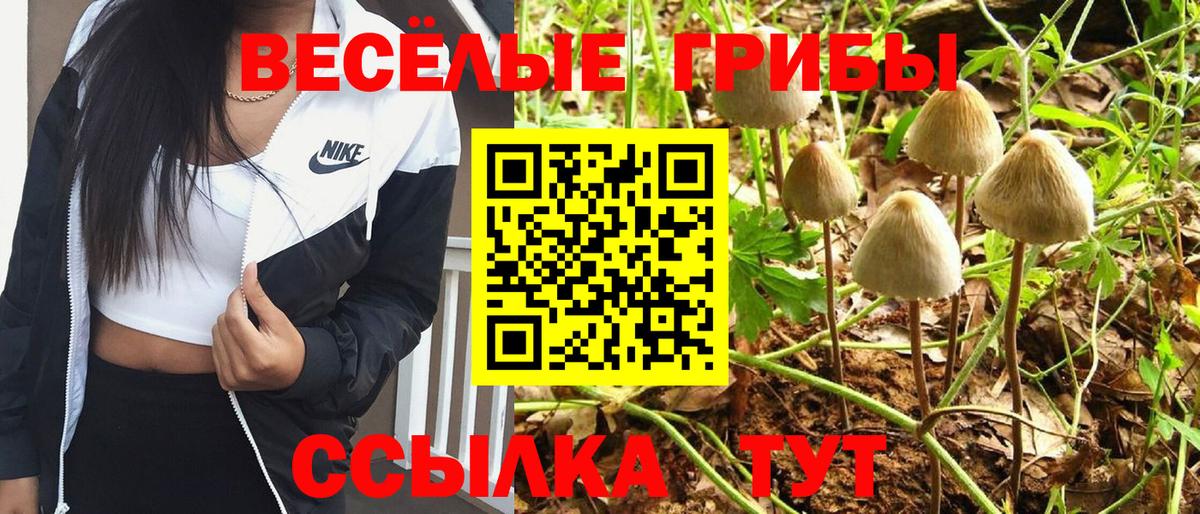 Галлюциногенные грибы Cubensis  Псилоцибиновые грибы GOLDEN TEACHER  Вход с VPN  Карасук 